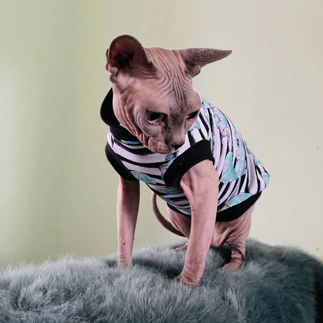 Cheshire Cats Cotton Jersey - Image 3