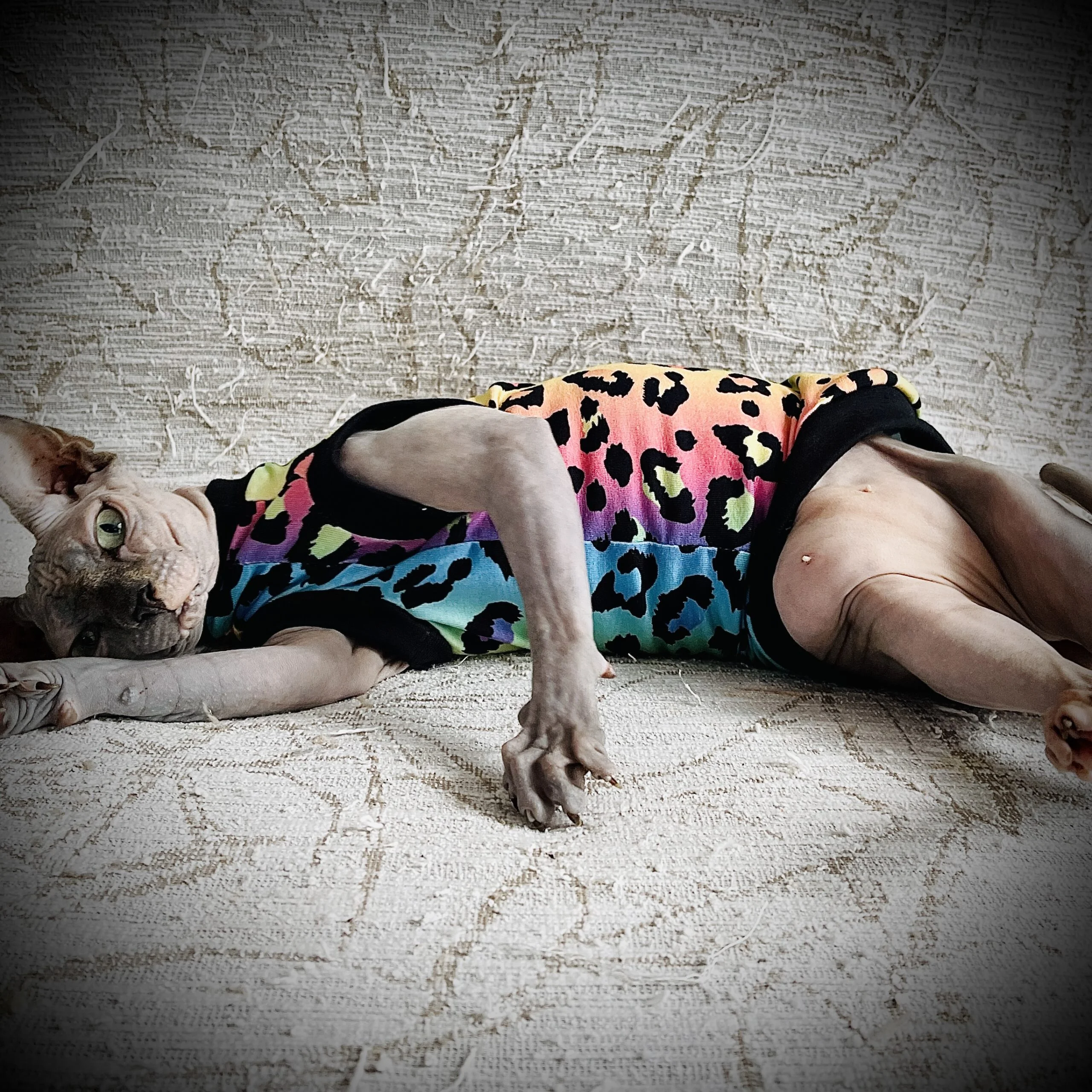 Ombre Leopard Cotton Jersey - Image 3