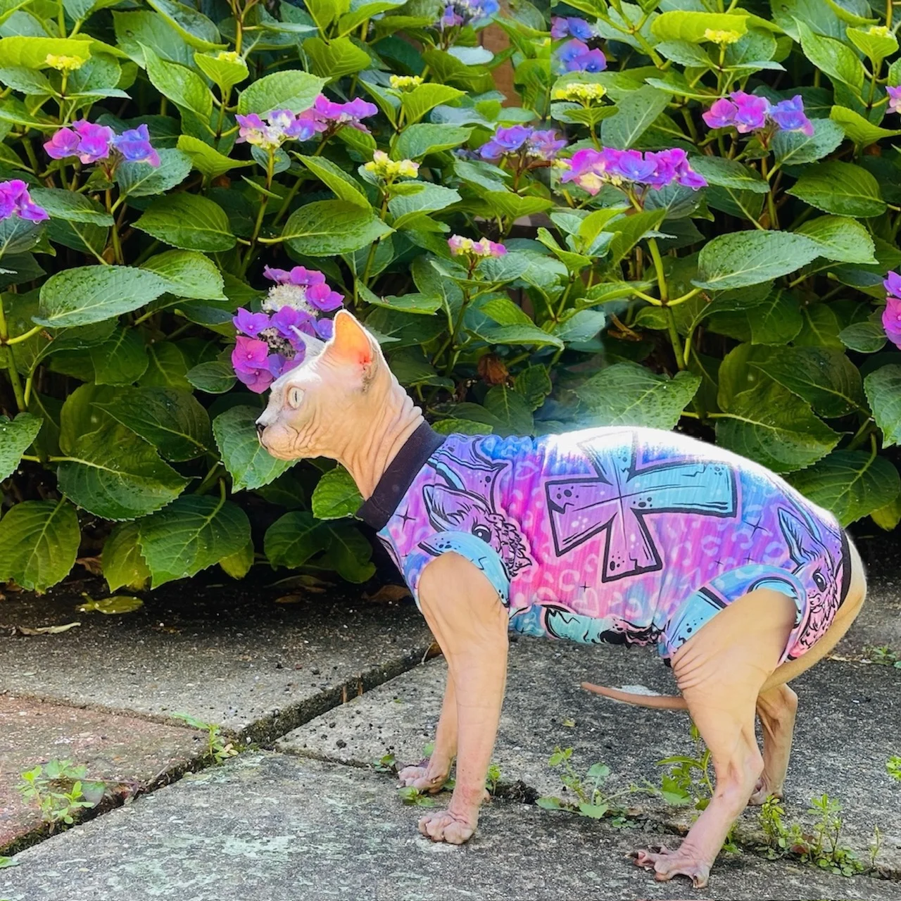 Punk Cotton Jersey SunSuit - Image 6