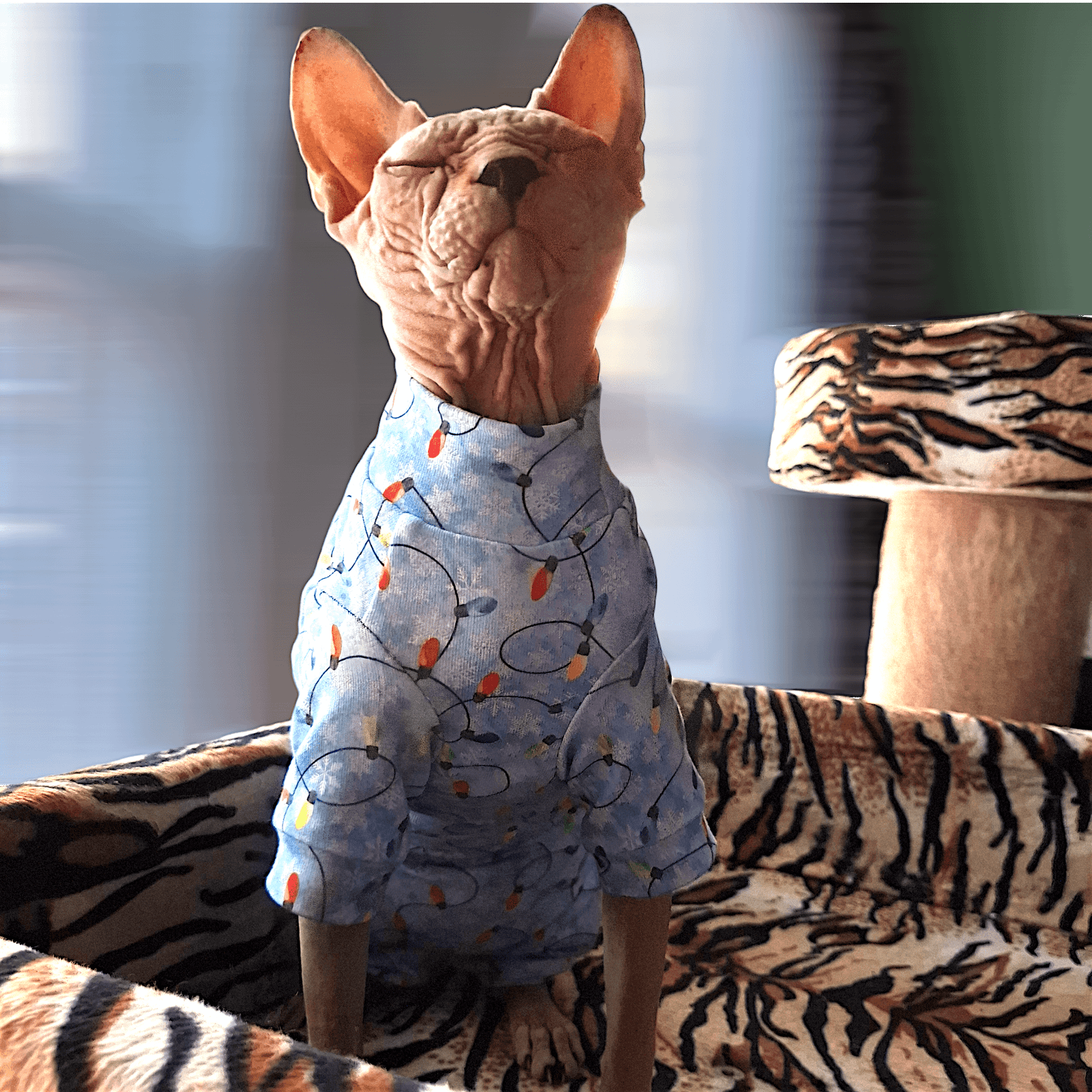Christmas Lights - Cotton Knit Sphynx Suit Onesie - Image 3