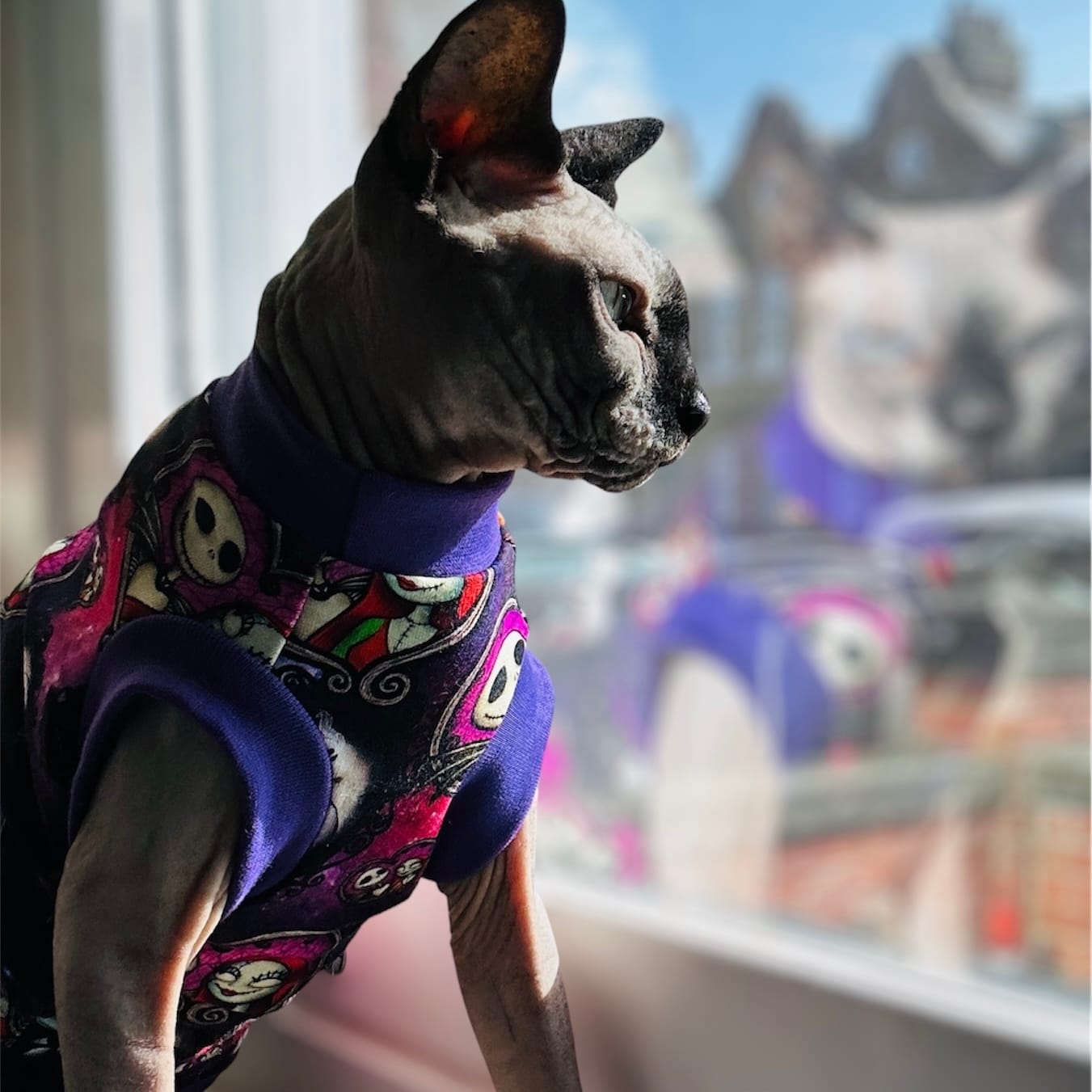 Jack and Sally Cotton Knit - Image 2