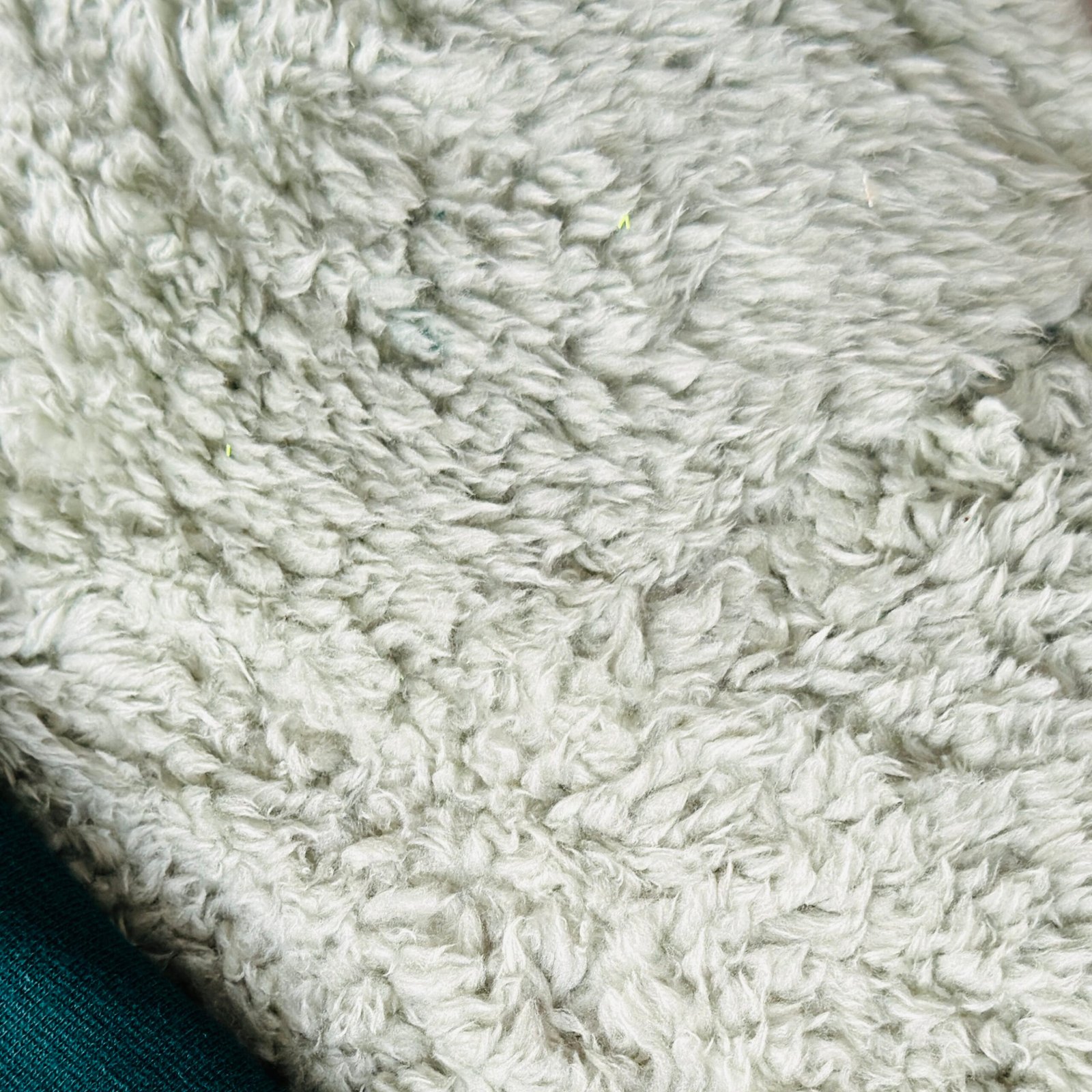 Iced Pistachio - Teddy Sphynx Top (Copy) - Image 3
